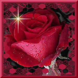 c pour toi amine